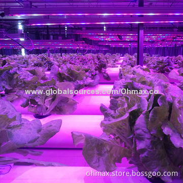 LED Grow Lights with Plant Factory for Researching Light Intensity and Spectrum for Various Plants